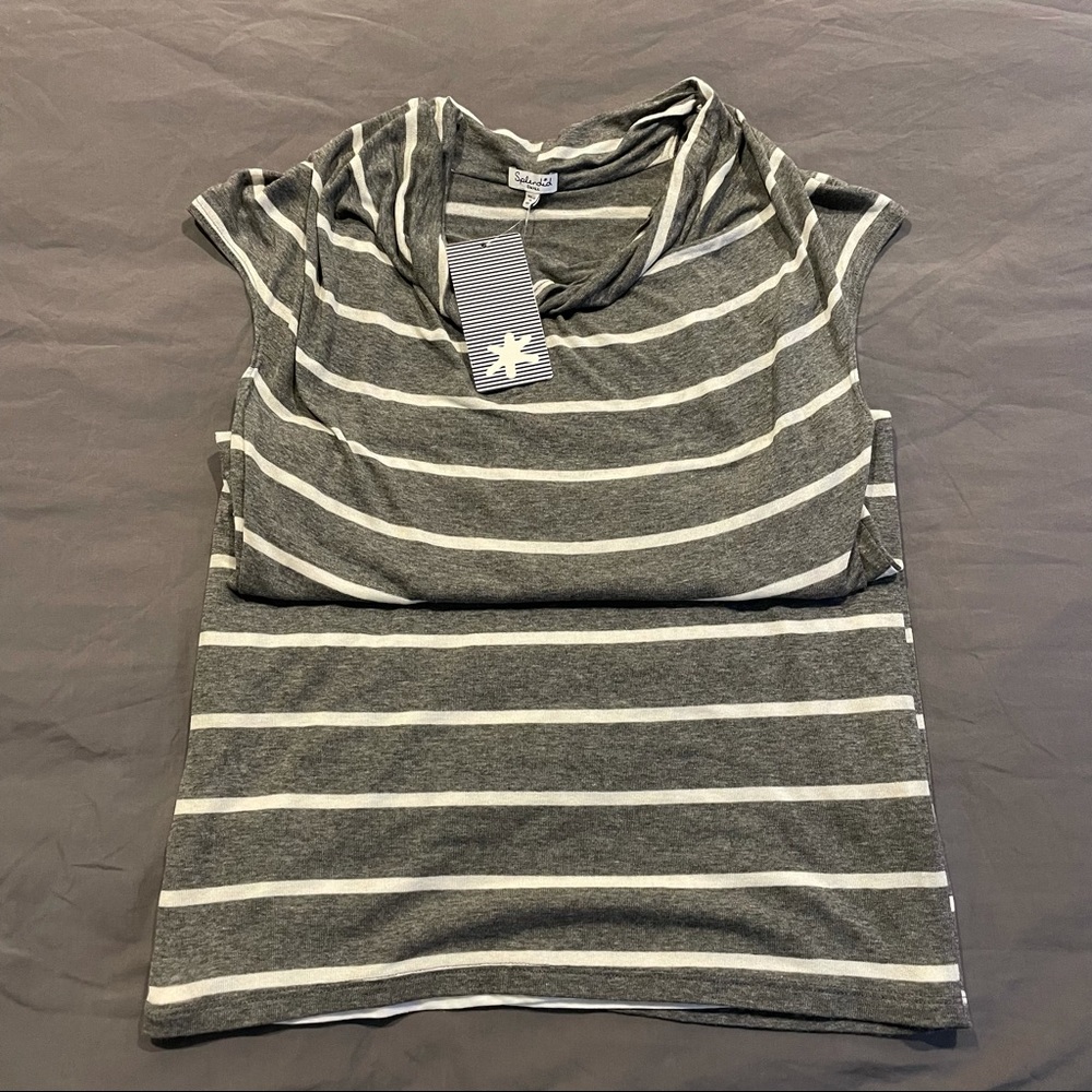 Splendid Stripe Dress